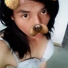 Galeria Snap
