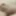 Tiny micro cock 