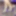 Slutwife Pantyhose Nylon Feet in Stripper Clear High Heels