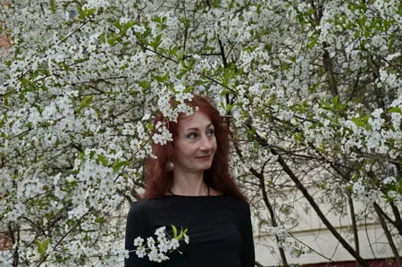 in white cherry flowers         