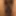 Village Husband Wife Hot Sexy Photo 