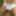Satin panties in the woods #11