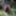 Outside of blonde cock sucking by the river #49