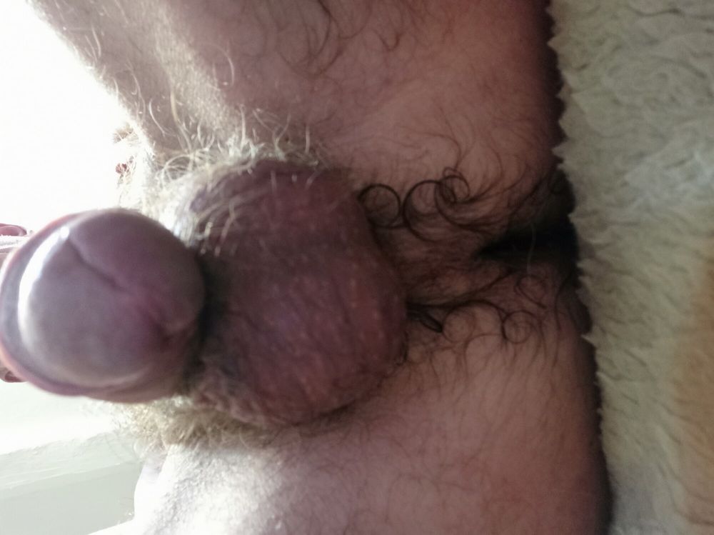 little hairy dick #23