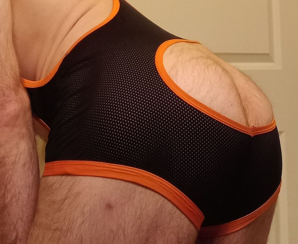 Puppers Showing off in underwear...again #6