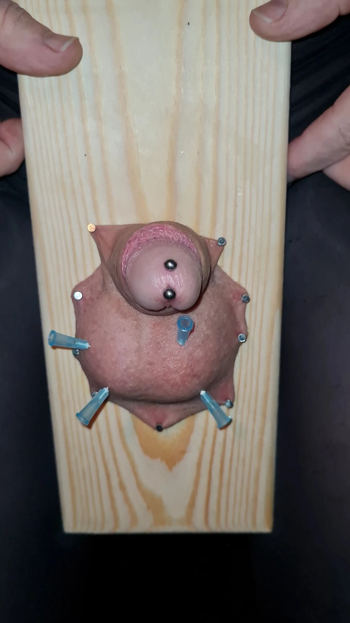Cock piercing 