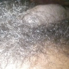Large 16inch Dick Picture