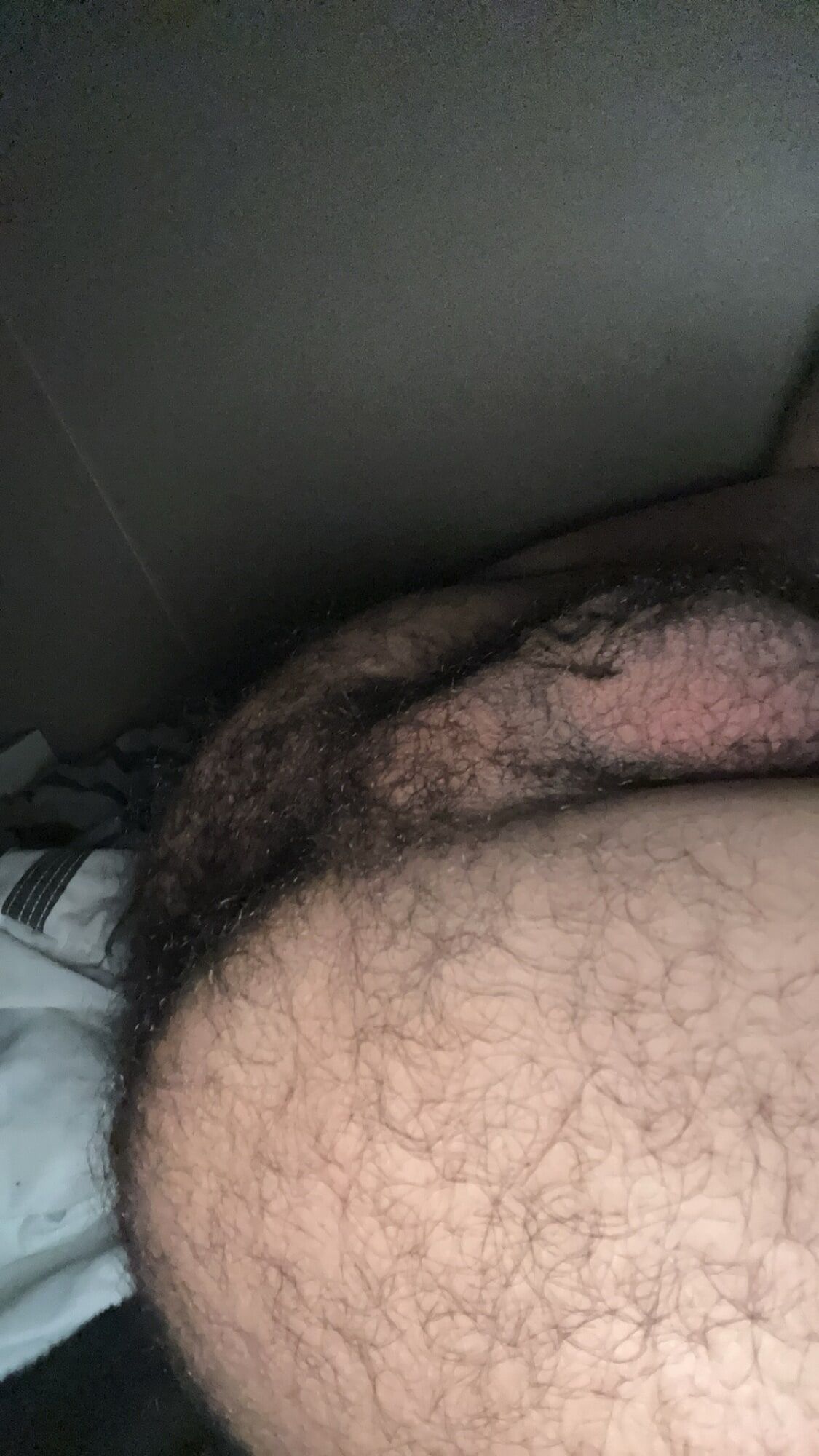My Hairy Sexy Ass And Hole