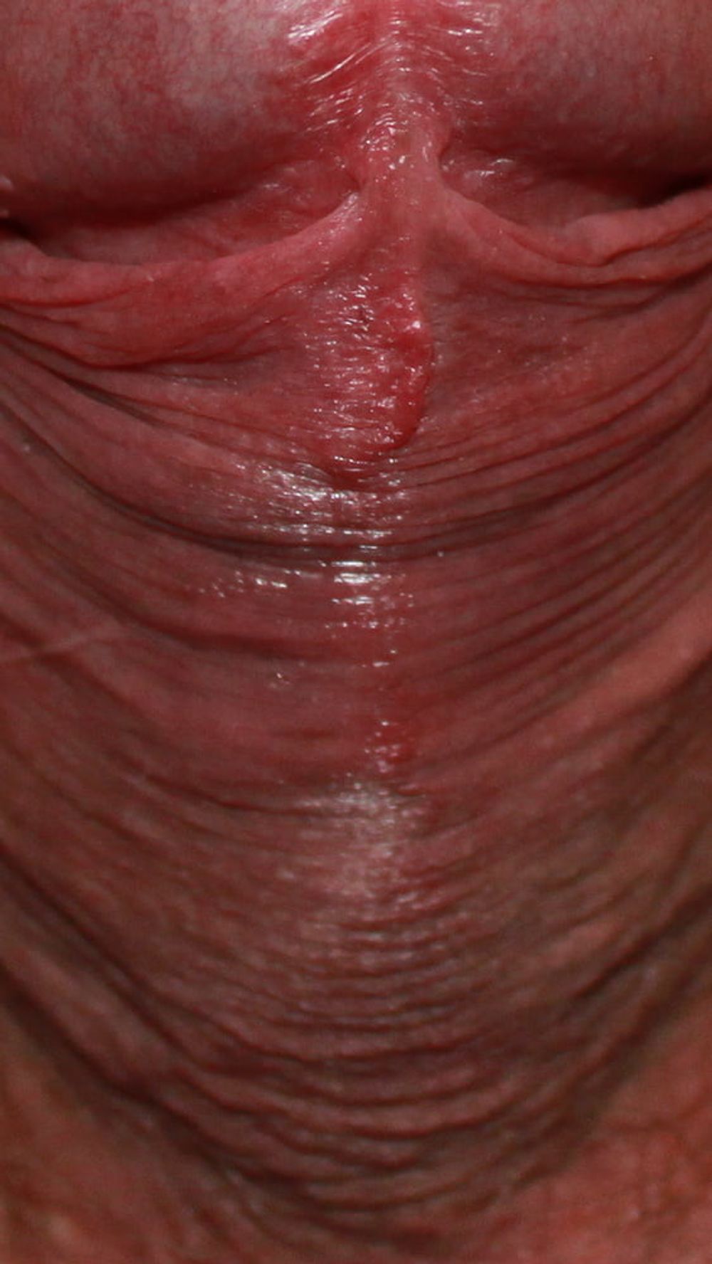 Close up dick #47