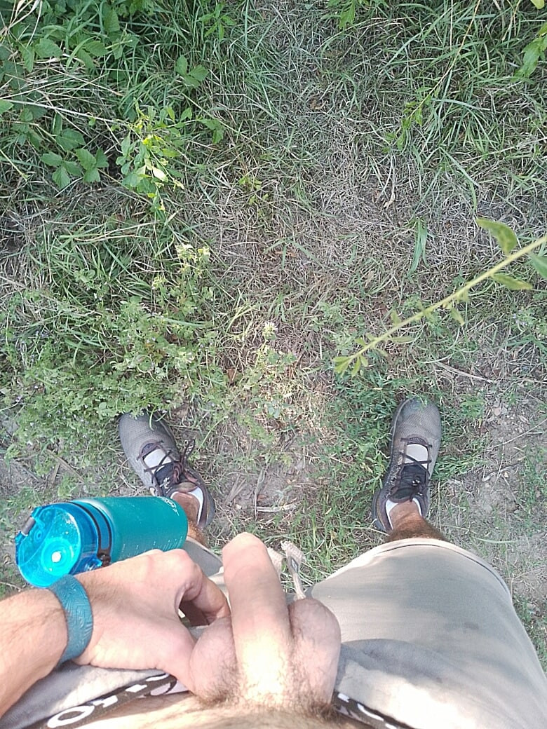 Nature #10