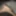 My cock