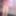 020P Flower Patterned Pantyhose