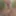 Amateur straight uncut guy heads to the woods for a cumshot #5