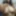 Cam to cam date app