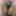 Indian married bhabhi Leacked nude photos 