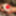 Little Reds photos #2
