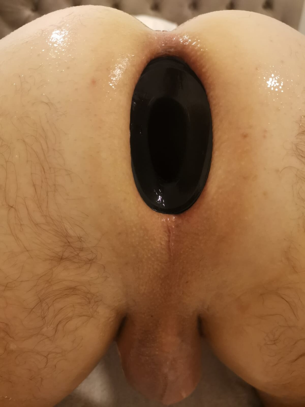 Ass #8