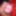 Indian boy dick closeup photo