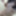 LILIVE06 GALLERY 