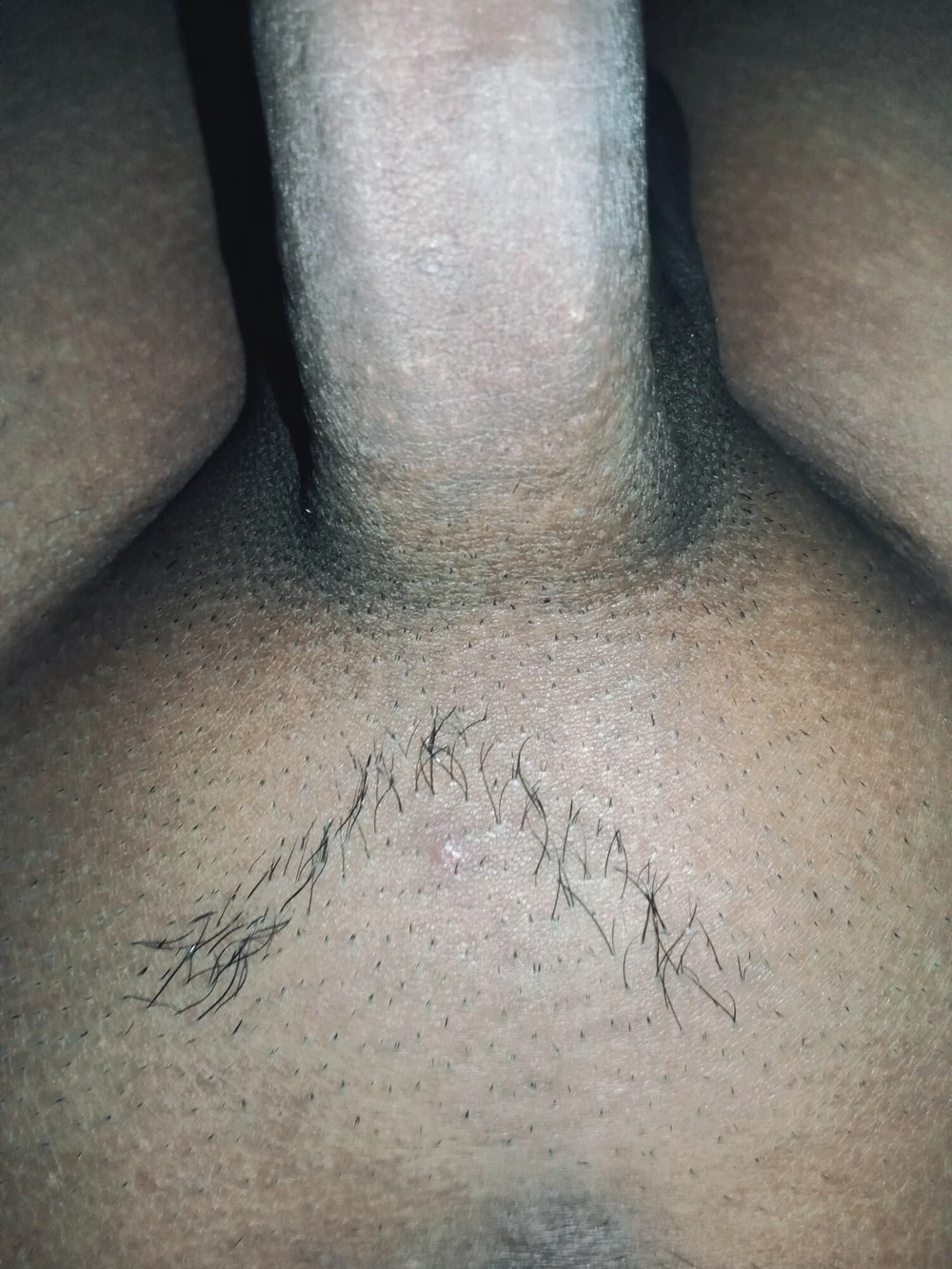 Sleep well to night cock #2