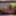 Oral and Fucking date