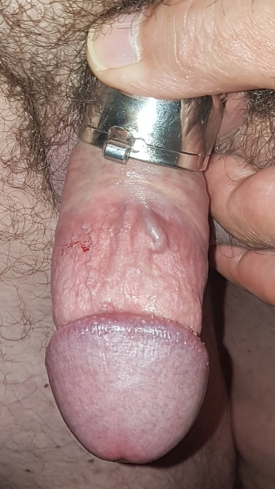 Chastity cage #40