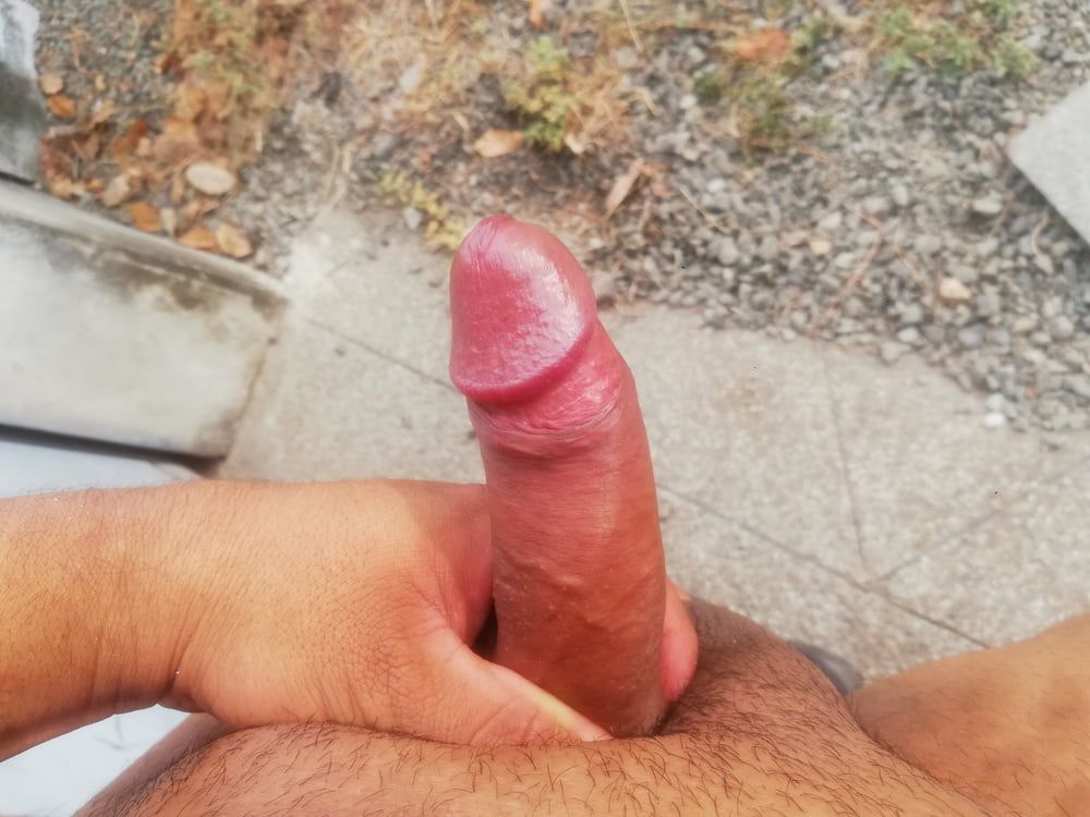 Una Delicia de Pene 14 #25