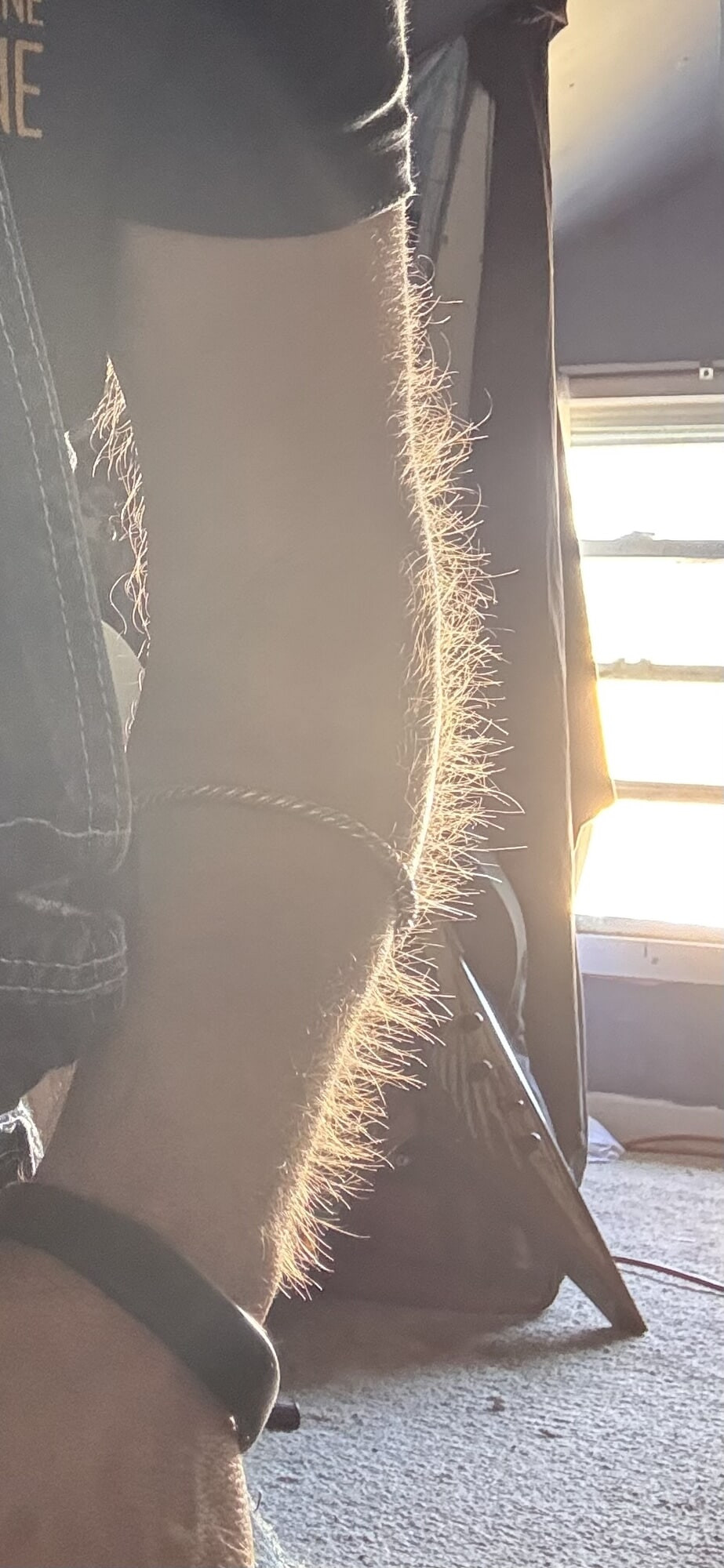 Hairy Arms 