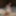 Sexy BBW Gets Fucked and Dildo