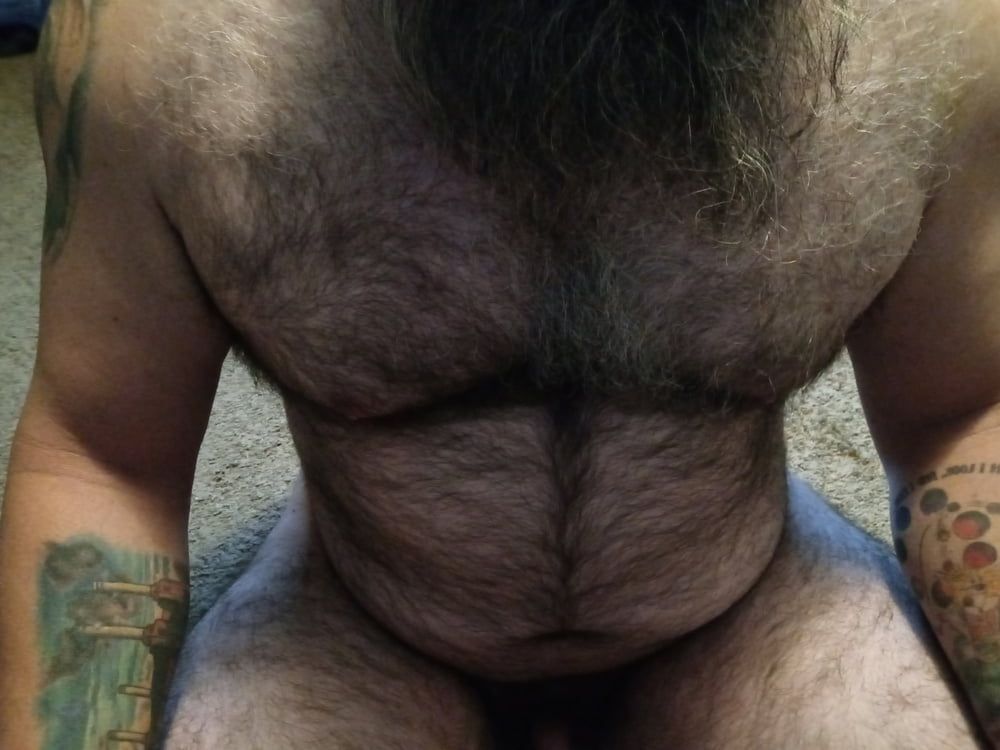 Hairy Bear with Great Legs