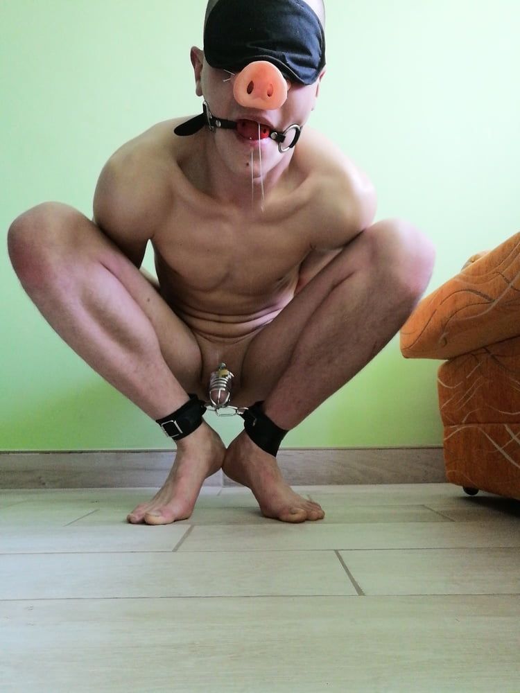 Young slave humiliated - PIG #17