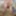 public woods naked outdoor exhibitionist jerking cumshot
