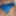 Speedo Pics