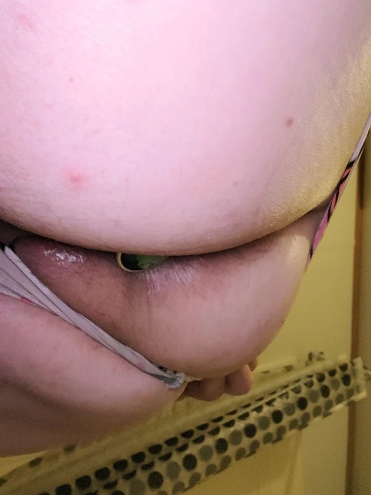 Pig #5