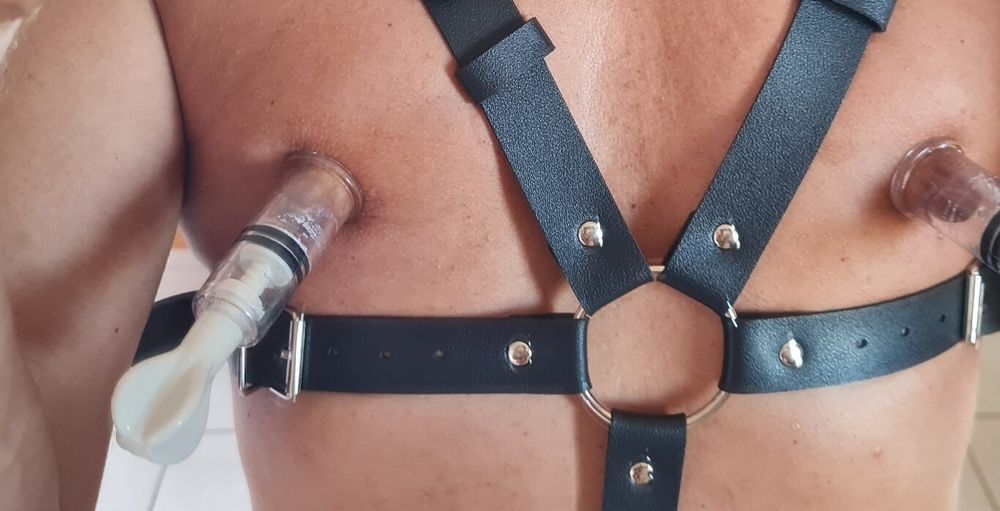 my first harness #38