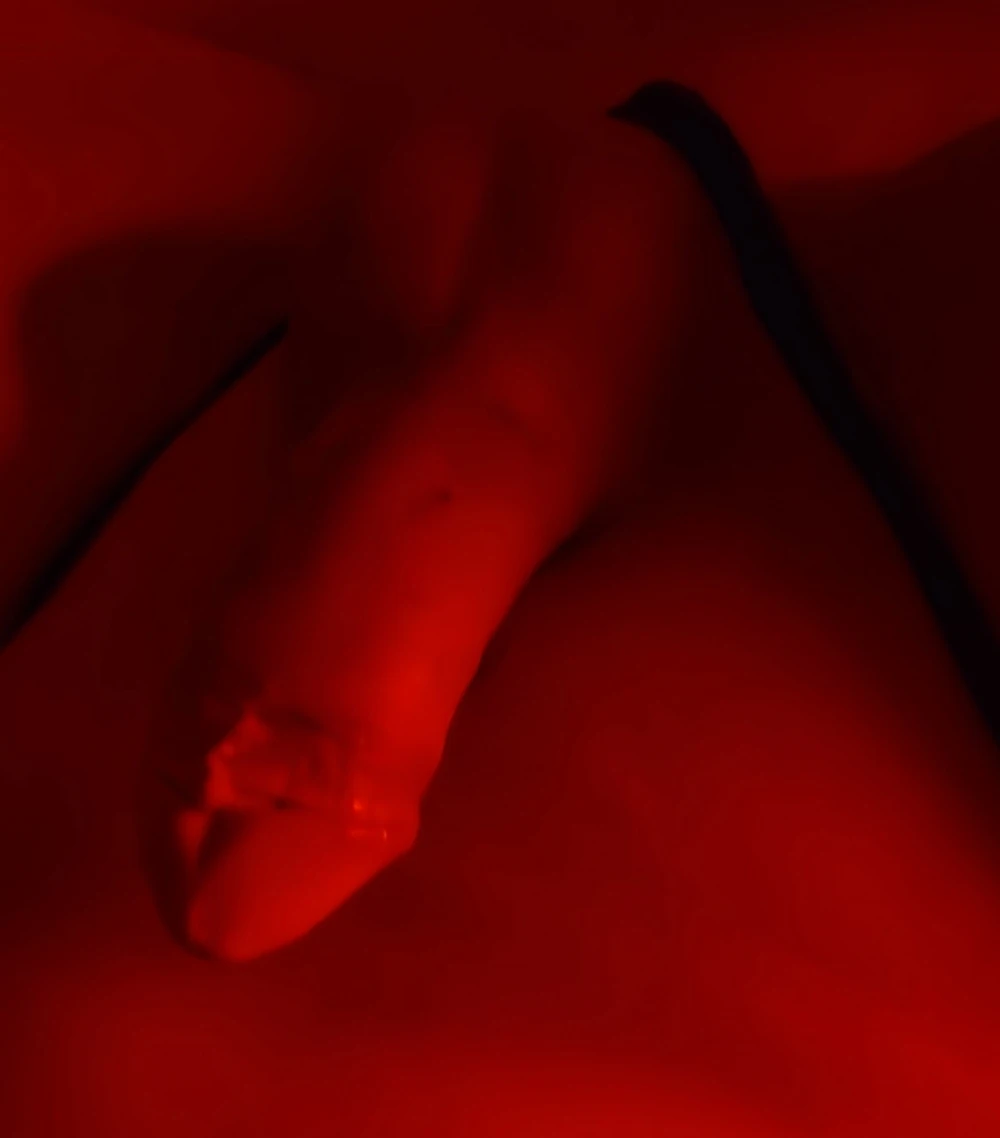 Red Light #6