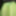 Lime spandex collection 2  #5