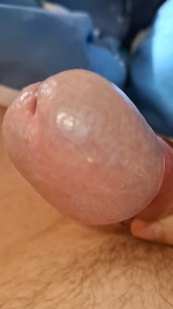 Horny cock