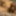 Stills of video of my masturbating my girlcock #13