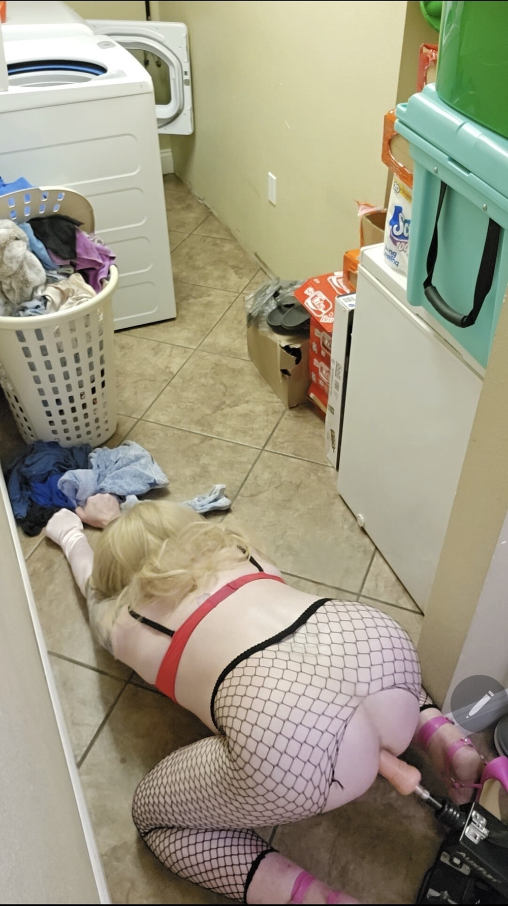 Feminized #6