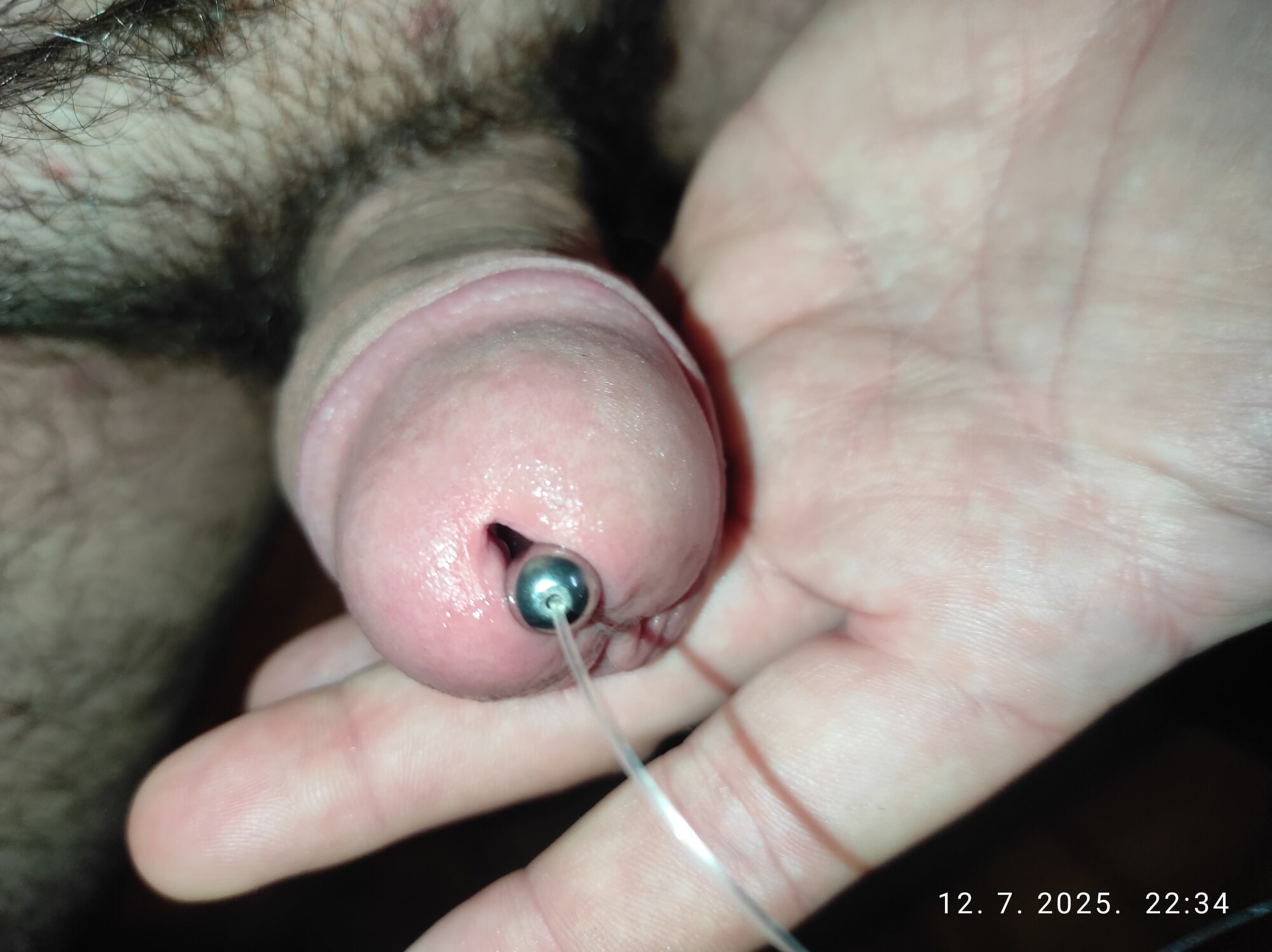 Urethra insertion #2