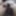 My black dick