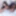 BRAZILIAN TRANSSEXUALS: Super Ultra Mega Debut Coming Right 