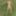 On the river bank, on the grass, in a public place without p #5