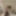 Ücretsiz blondepanthera fotoğrafları