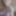 Ücretsiz Ariana Fotoğrafları