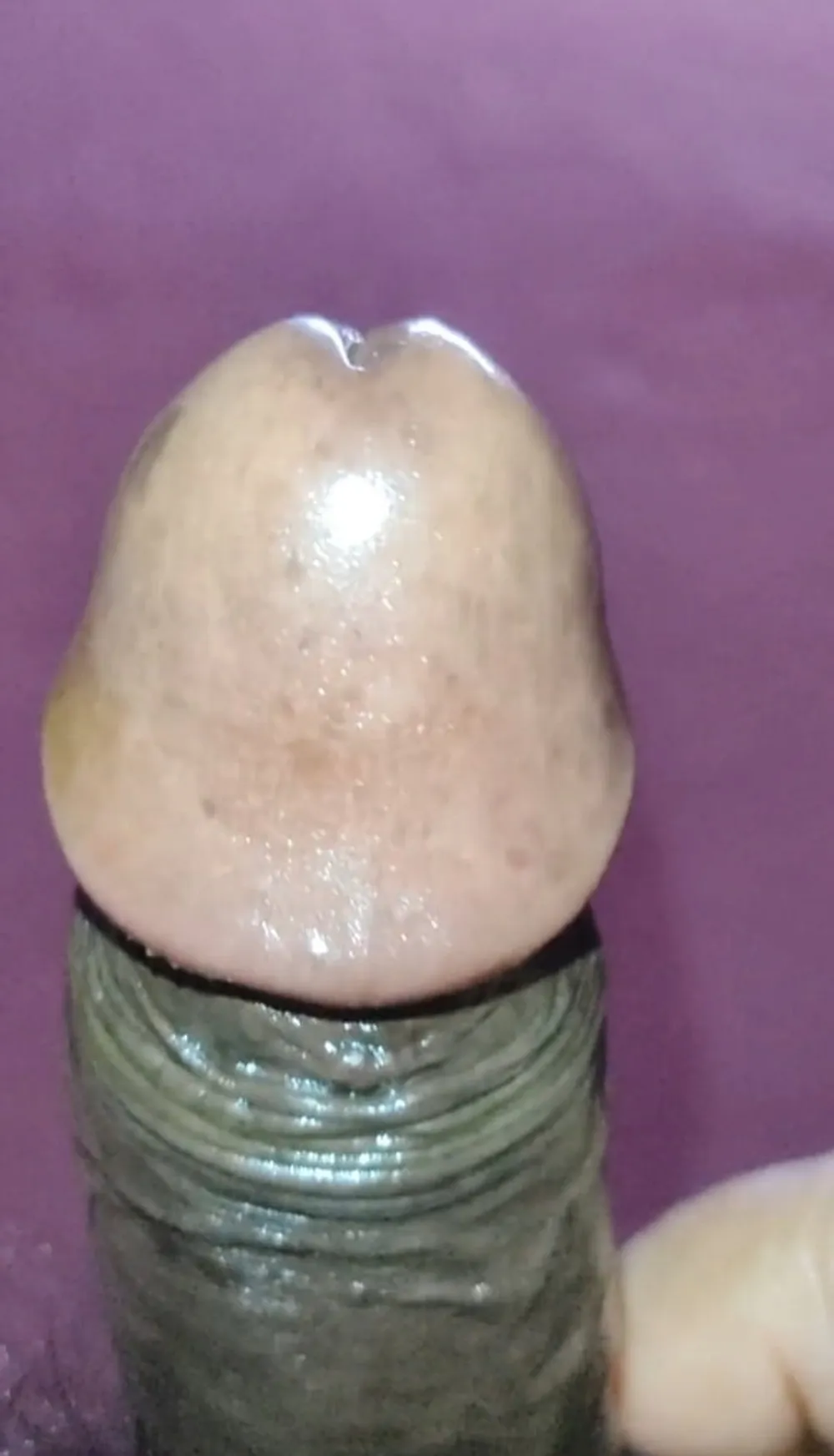 Indian hard cock #2