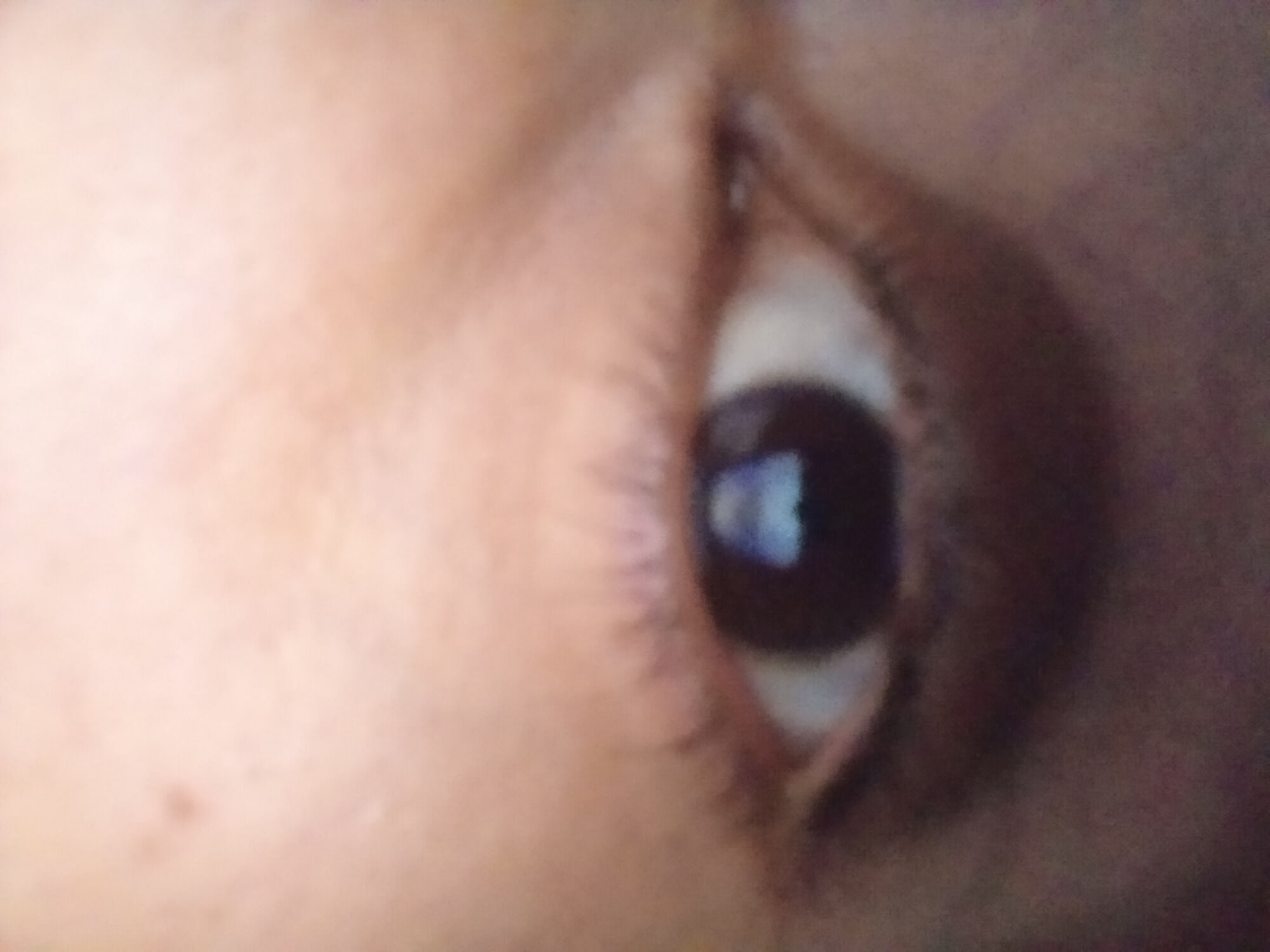 Photo #2