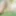Naked in the garden of my house #5