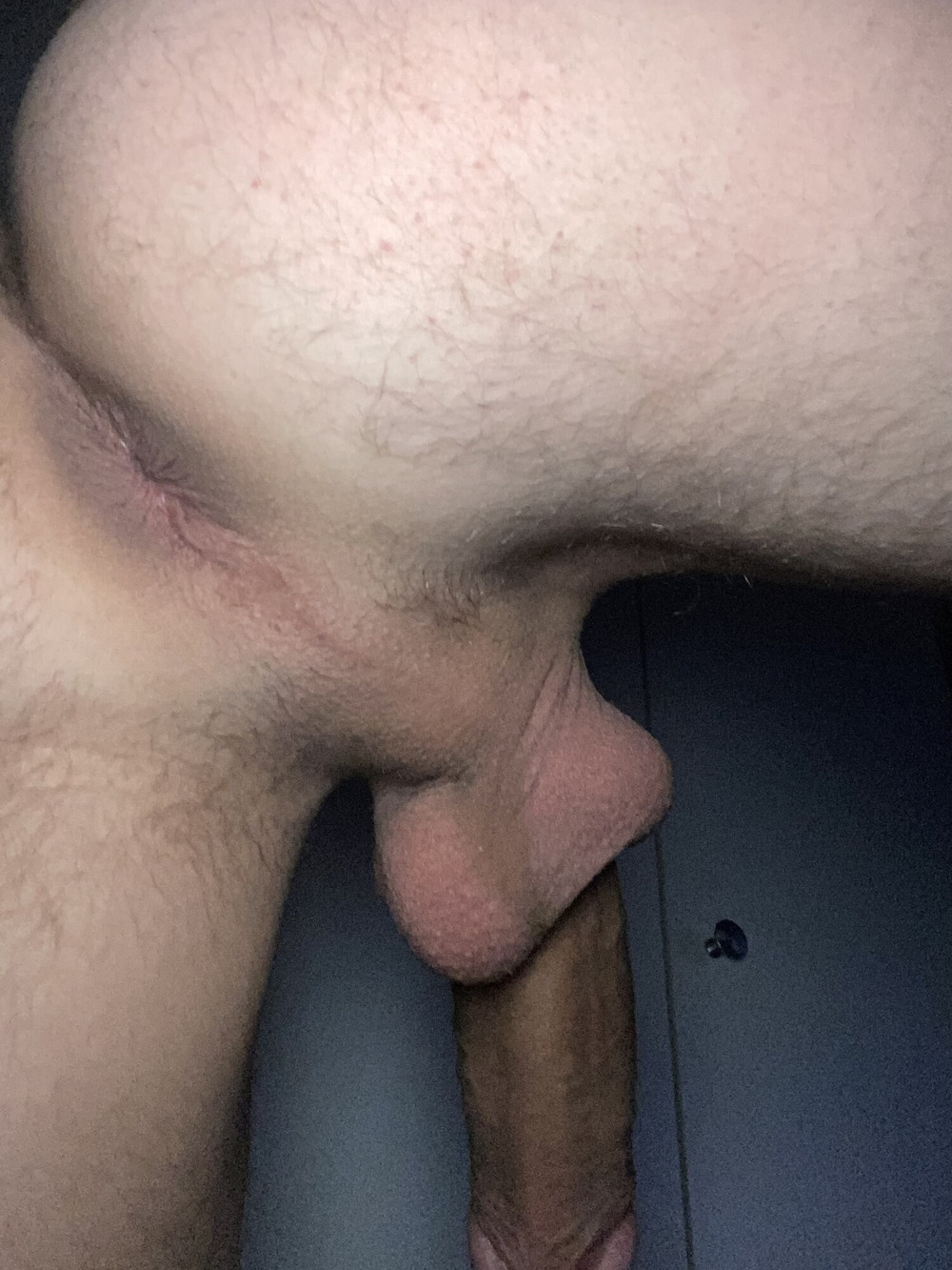 Ass  #2